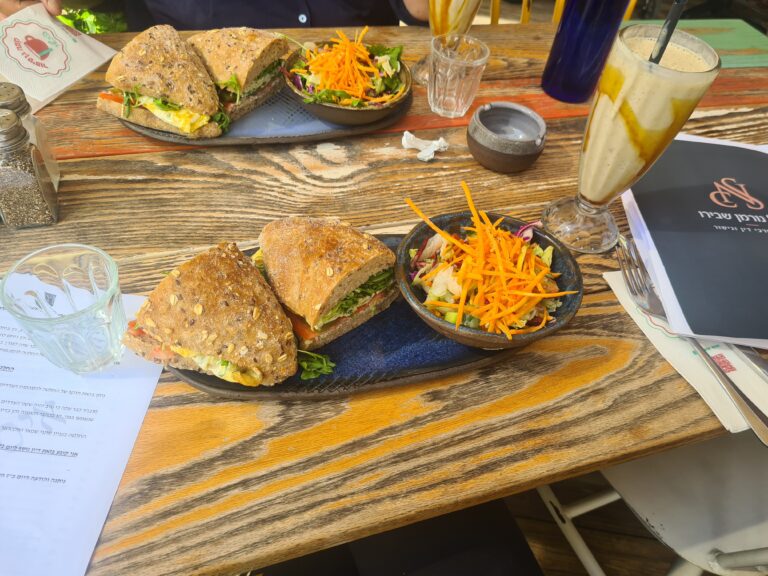הדיון שהיה