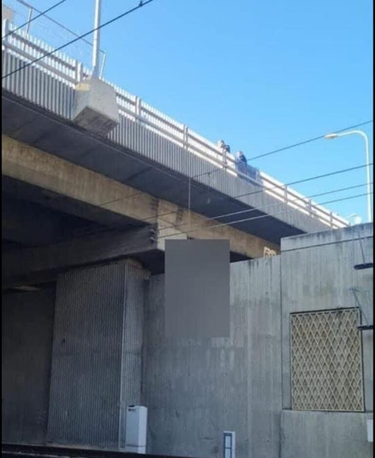 ניכורי הורי- להתאבדות הורה יש השפעה על ילדיו